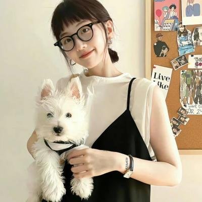 小乌龟福兰克林